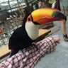 Phitan_Cube's profile picture. 元キューブ運営おじさん FMC ピラ TRCCのOB 怪人女裝30代 フォローは返さなくても許して（覚えきれない）