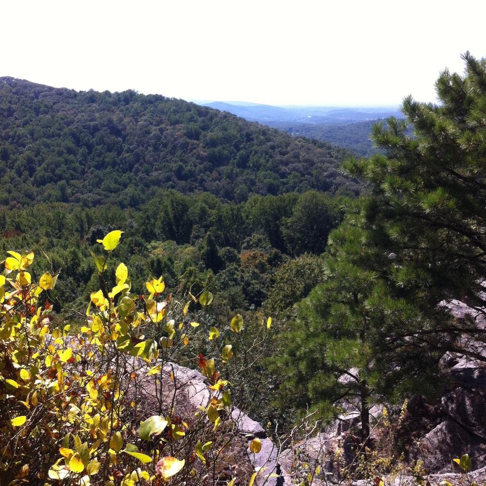 ginapearce's profile picture. 