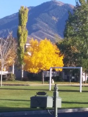 seachelle22's profile picture. 