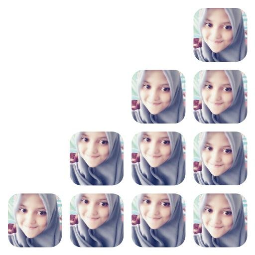 Dendy ♥
