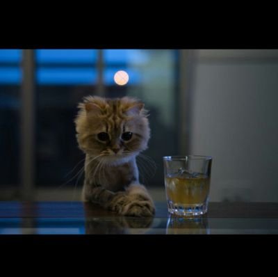 AfterPartyTalk's profile picture. Shit We Say after going out                                   DM your quotes