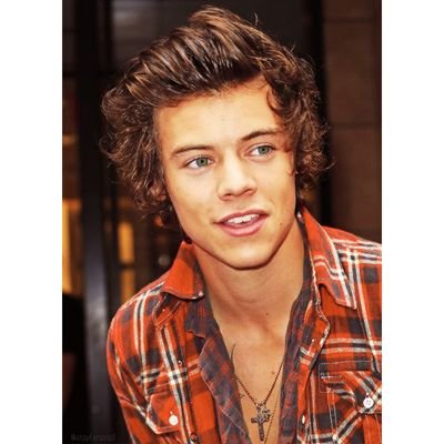 your mom's chest hair