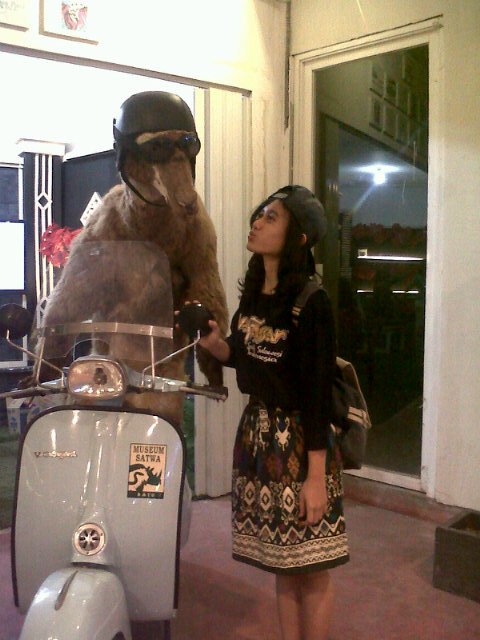,I close my eyes while replaying the moment, my dreams come true ''^_SMK.Analis Kesehatan Bhakti Wiyata,Kediri^05 november 95• »Pin: 2664EB68