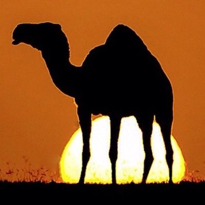 hamd45310299's profile picture. !!!