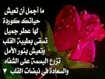 ‏الأنسَانْ الطَيبّ دائماً مبتَسِم ؛ يَضحَك يُسَامح كَثِيراً ؛ ♡♡♡♡
يَتجَاهلْ كُل مَا يُؤلمُه ؛ لَكنْ ♡♡لآ أحد يَعلم ما بداخله♡♡