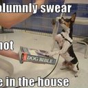 Don Nix - @nkerchiri - Twitter