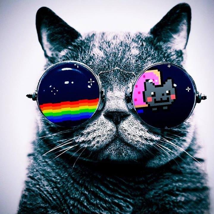 CloudAxis's profile picture. 