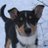 Hifk72's profile image