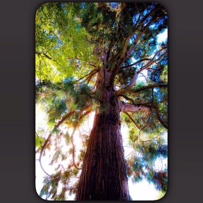 consumergy's profile picture. 