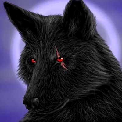 LeoWolfPrince's profile picture. *Grolws*a Alpha Male That Hides in The Darkness,Making Sure Every Wolf is Safe But Loves To Play Catching.#RP
Mate|@Starlight35545
Daughter|@KaraTheWolf1