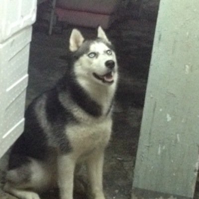 pumthree's profile picture. 