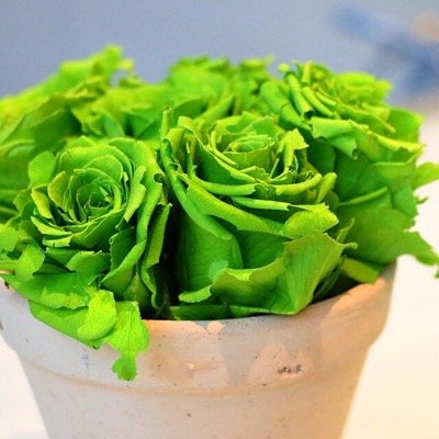 Al12roes222's profile picture. 