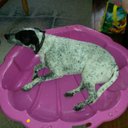 Irma Muller - @irmamuller12 - Twitter