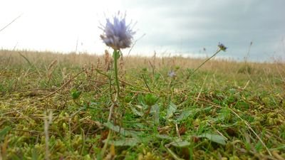 NorthDriveGY's profile picture. 