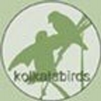 Birds of India(@birdsofindia) 's Twitter Profileg