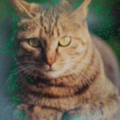 バツイチおやじです。