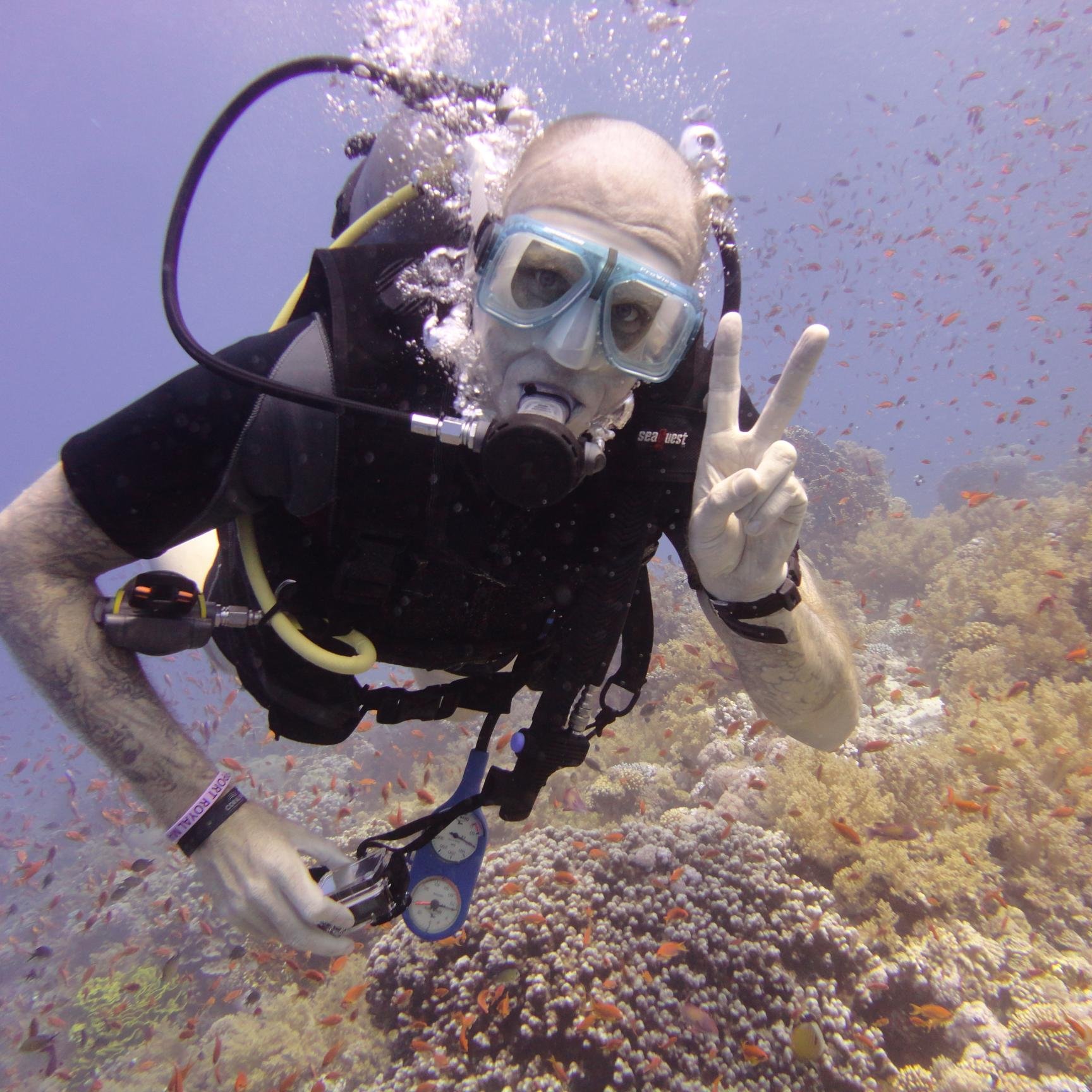 friisman's profile picture. 