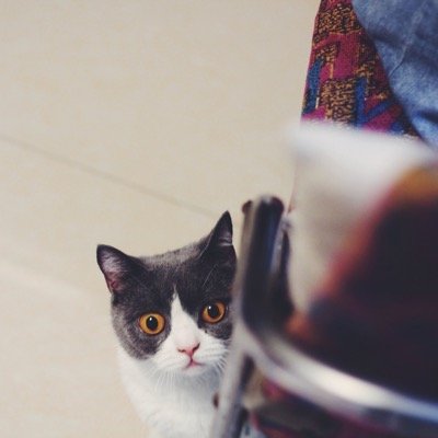 Trueman1990's profile picture. Be true