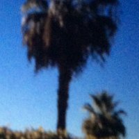 Lyd4Truth (@bo_zumi) 's Twitter Profile Photo