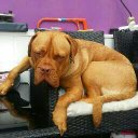 Terry Ness - @nessy8436 - Twitter