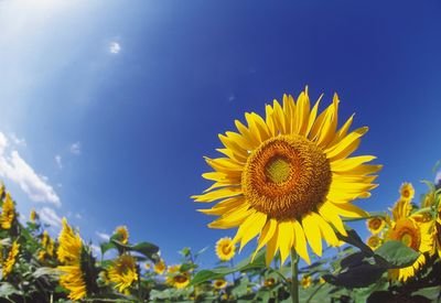 spring_stoptime's profile picture. ( ｀・∀・´)ﾉﾖﾛｼｸ=僕の好きなもの=⇨REBORN/ﾂﾊﾞｻ/進撃の巨人/ｻｲｺﾊﾟｽ/ﾉｹﾞﾗ/ﾊｲｷｭｰ！/黒執事/蟲師/いぬぼく/君に届け/鬼灯の冷徹/夏目/京アニ系/隣の怪物くん/ｱｵﾊﾗｲﾄﾞ/一週間フレンズ/とある/七つの大罪/FT//game//KH/FF/ゼルダ/バイオハザード/その他もろもろ。