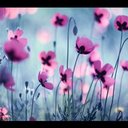 Iona Stevenson - @iona_stevenson - Twitter