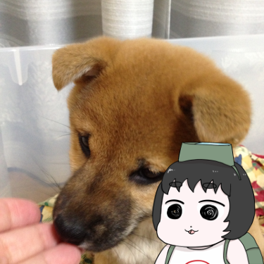 Sherryalsohighb's profile picture. 2013年1月14日に犬が来ました。https://t.co/4GubbvY2XU