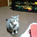 Patty Boyd - @pattyboyd80 - Twitter