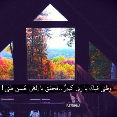 soft__copy's profile picture. 