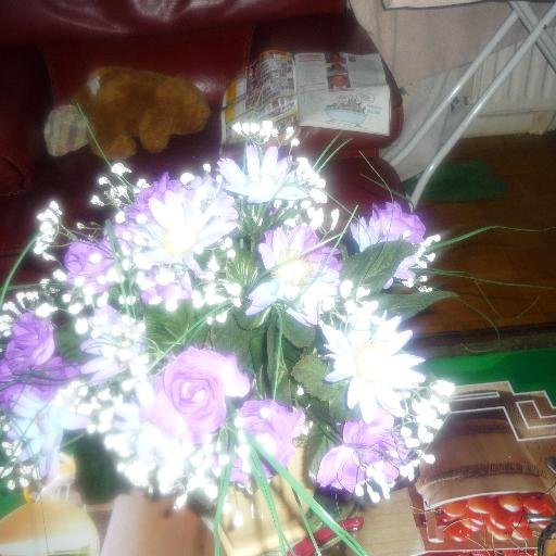 SYLMBO's profile picture. 