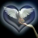 E17ho_van smart - @e17ho_vansmart - Twitter