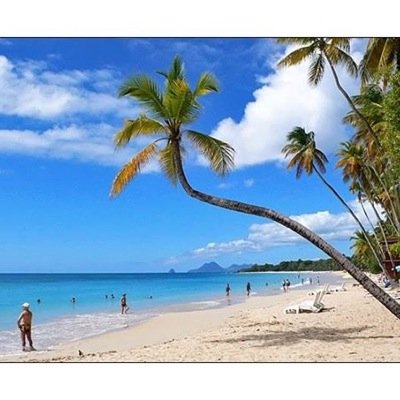 franckgeffray's profile picture. 