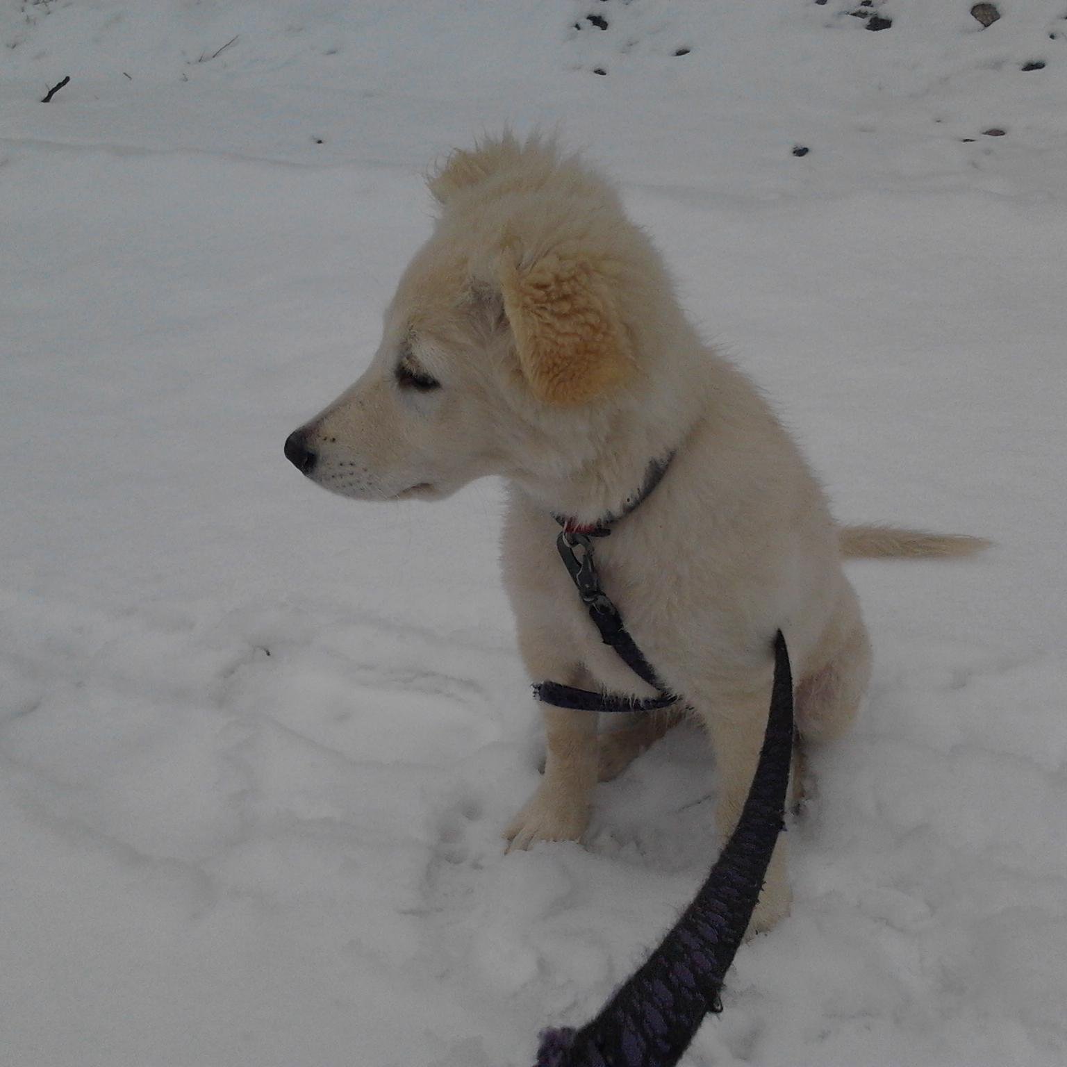 7Gemin's profile picture. 