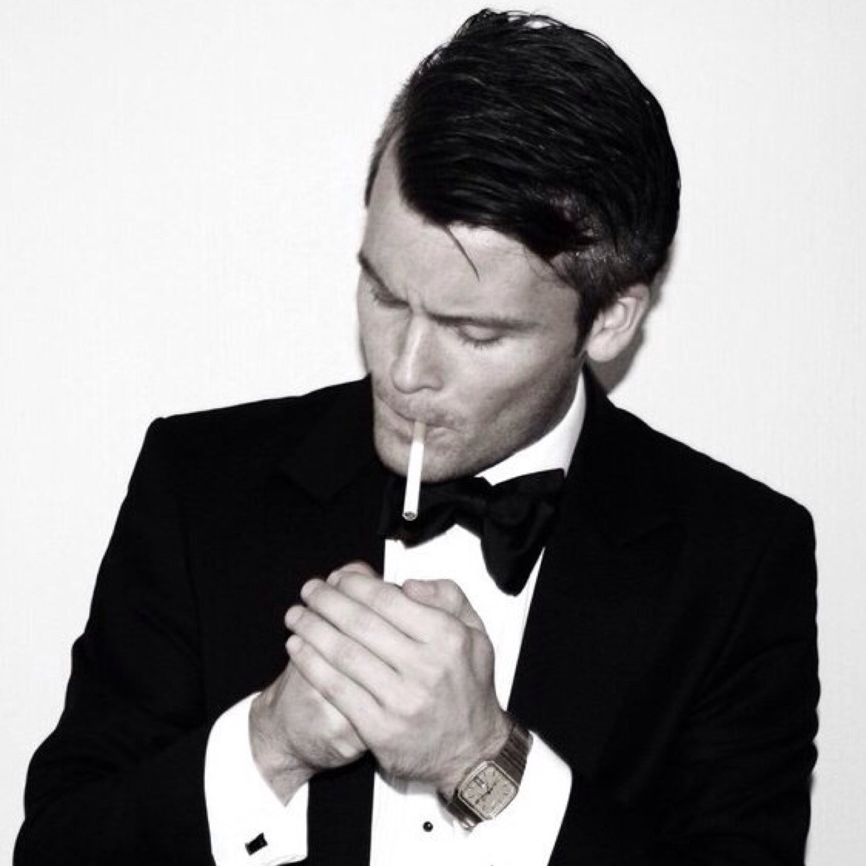 vegiardia's profile picture. ordkunsnter