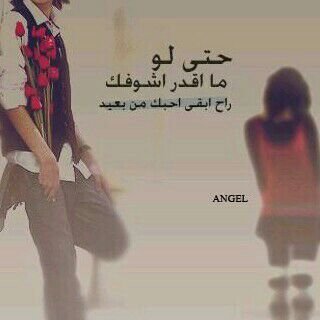 dgd665's profile picture. 