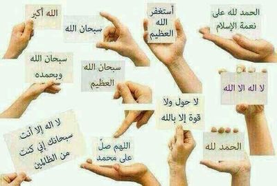 9296141Ali's profile picture. 