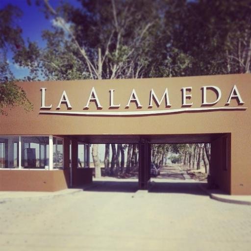 mgdinmo's profile picture. 