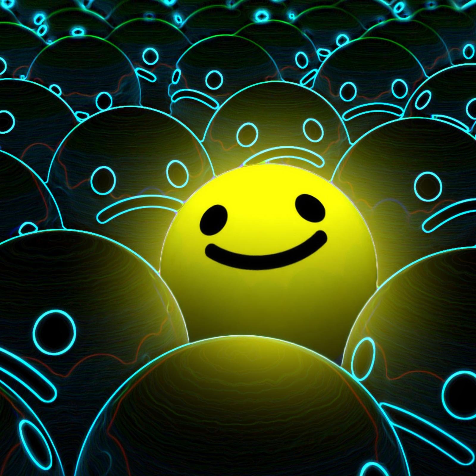 follow back 100%