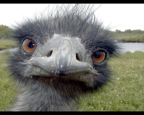 Mark160975's profile picture. 