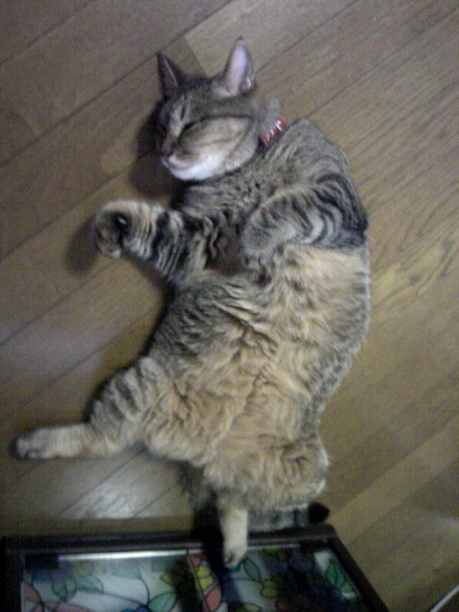 akira73hei's profile picture. 人生はリセットできないよ！