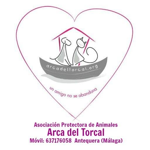 Bienvenidos al Twitter oficial de Asociación Protectora de Animales Arca del Torcal. 
Contacto: 637 17 60 58  (WhatsApp) y adopcionesarcadeltorcal@gmail.com