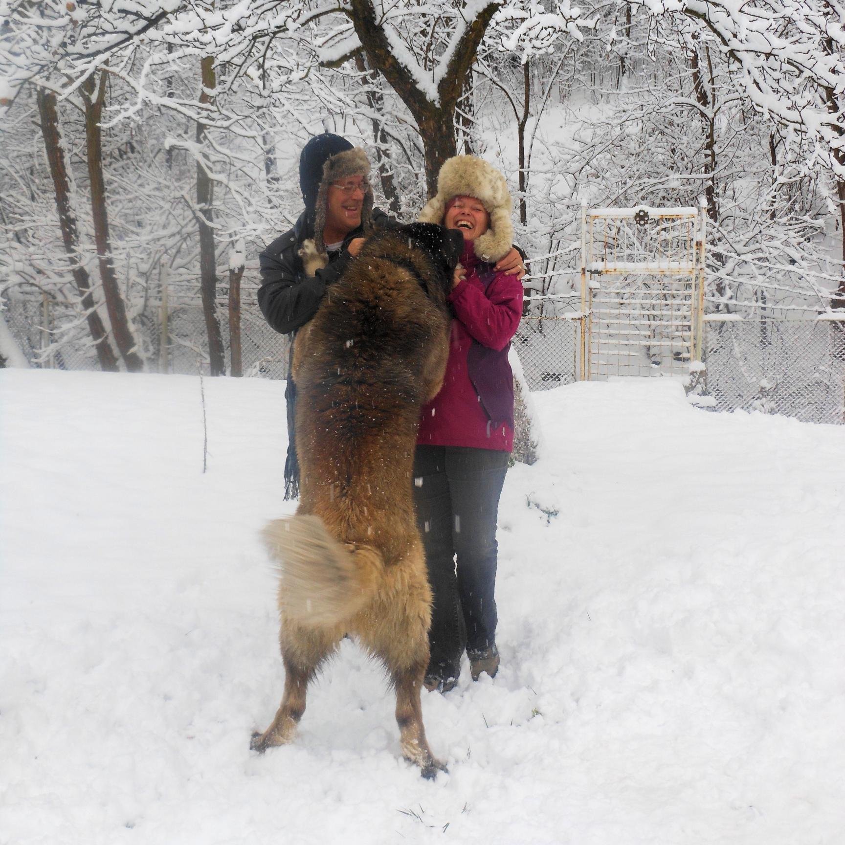 Working with @Vol_Romania to provide fantastic holiday opportunities in this beautiful country http://t.co/MXoBmsJ6PF