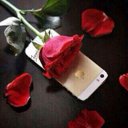 U.S.M♥♛ (@0509172) Twitter