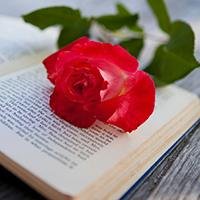 dearauntjane's profile picture. 