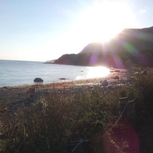 Harmonica_Film's profile picture. Harmonica Film.
Apprécier avec les oreilles & voyager en images.
Une entreprise média (Musique|montages) 
s'affichant sur :
Youtube et Facebook