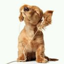 Ken Shaw - @fcdww - Twitter