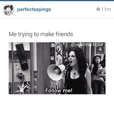 tziplefko's profile picture. 