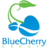 BlueCherryGroup's profile image