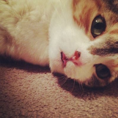 leche814's profile picture. 