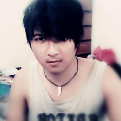 System/network administrator, Software enginer, Web designer, editing video/foto.